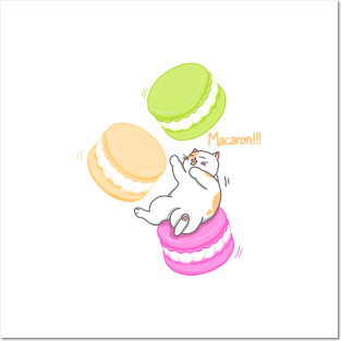 Cat and Macaron Posters and Art